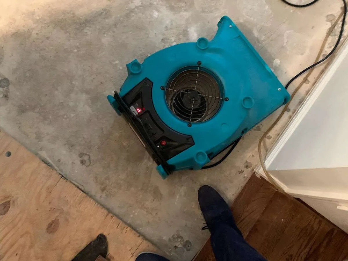 Air mover drying subfloor during Commercial Water Damage Restoration in Earl